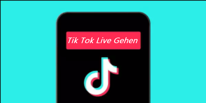 Gründliche Erklärung, wie man auf TikTok live gehen kann