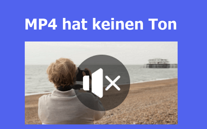 MP4 Datei hat keinen Ton? Hier sind 4 Methoden!