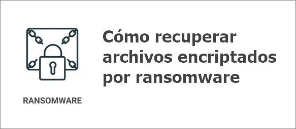 Cómo recuperar archivos encriptados por ransomware [2025]