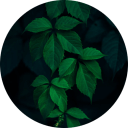 mobileapp-bg-small-1