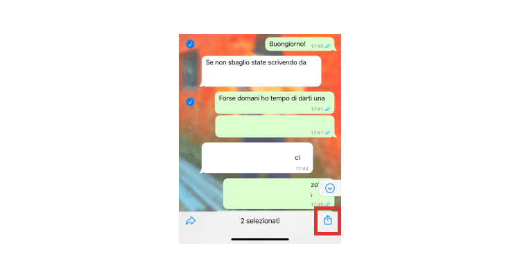 Seleziona la casella per eseguire il backup della cronologia delle conversazioni di WhatsApp sul tuo computer