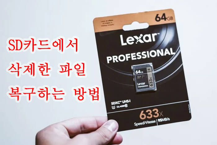 [ 2025 ]SD카드에서 삭제한 파일 복구하는 방법