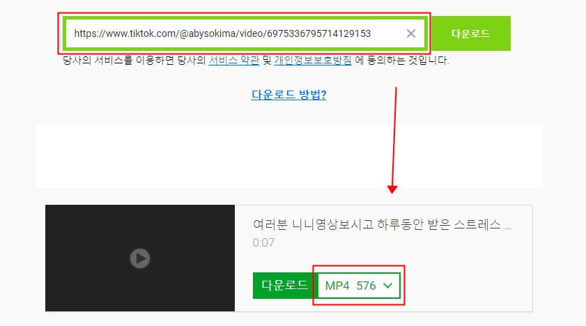 Savefrom에서 틱톡 영상 다운로드