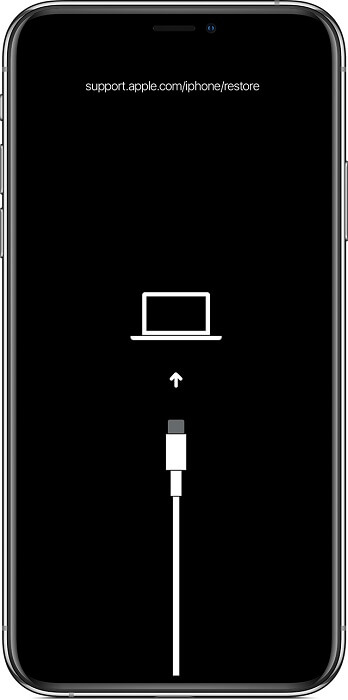 iPhone gaat naar herstelmodus